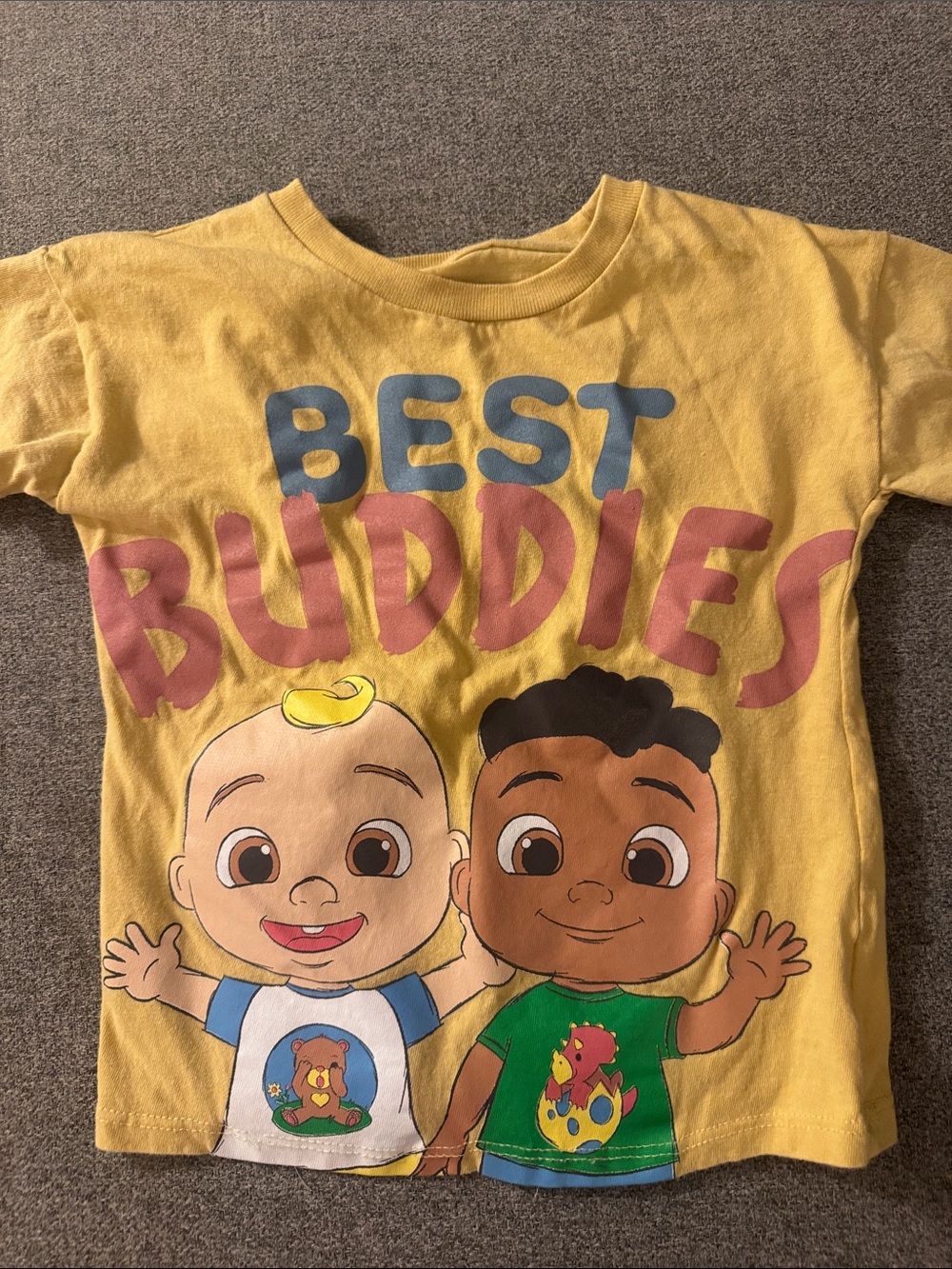 5/$15- T-shirt size 3t